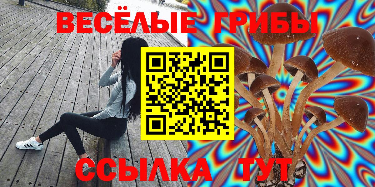 Трёхгорный  Псилоцибиновые грибы GOLDEN TEACHER  Вход с VPN 
